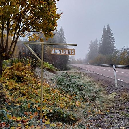 Amnerud 5 Villa Buitenkant foto